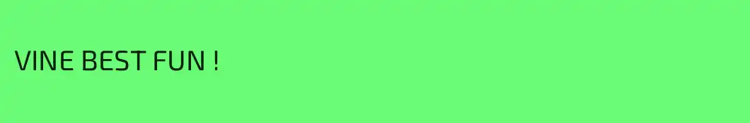 VINE BEST FUN !